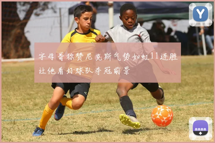 字母哥称赞尼克斯气势如虹11连胜让他看好球队夺冠前景