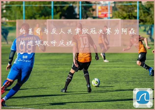 约基奇与友人共赏欧冠决赛为阿森纳进球欢呼庆祝