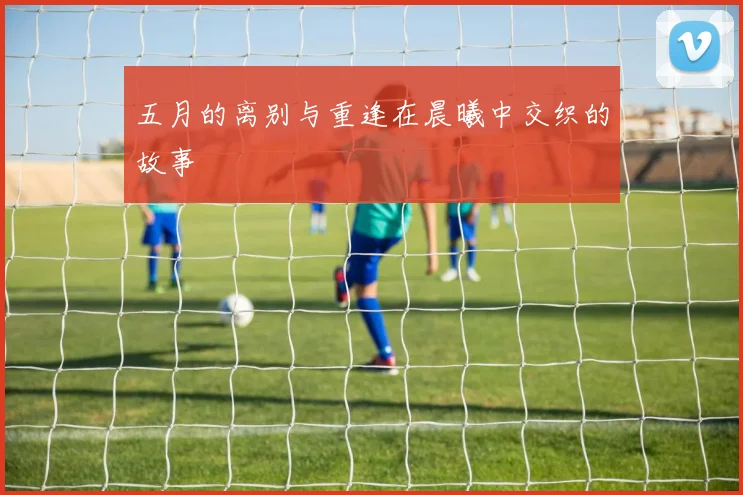 五月的离别与重逢在晨曦中交织的故事